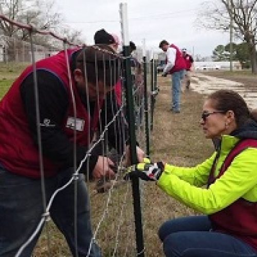 Growing Change: Cultivating Hope and Sustainability from Within