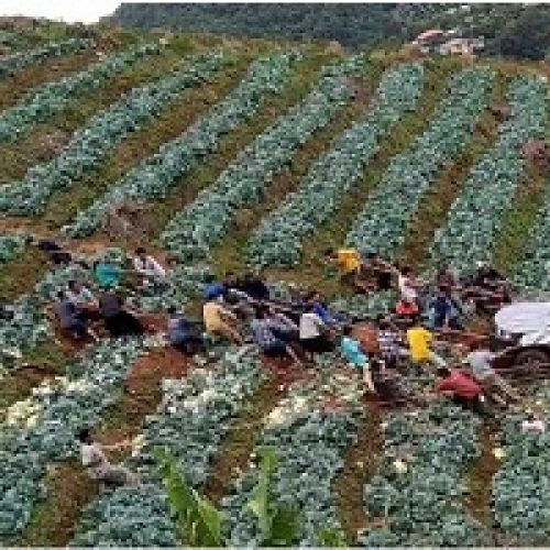 HOW VILLAGERS IN CHIANG MAI TURNED A CRISIS INTO COMMUNITY TRIUMPH
