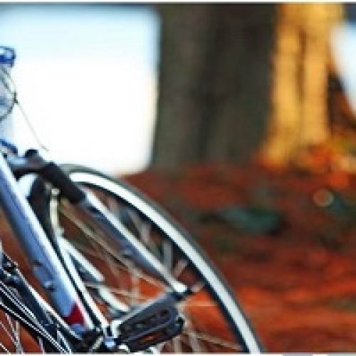 THE BIKE WHISPERER: TRANSFORMING THEFT INTO REDEMPTION IN REYKJAVIK