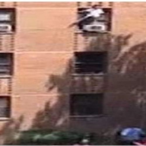 HEROIC NEIGHBOR SAVES BROOKLYN GIRL WITH AUTISM FROM FALL
