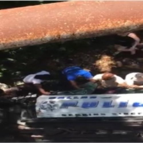 Heroes Among Us: Bystanders Rescue Officer from Creek After Dramatic Crash