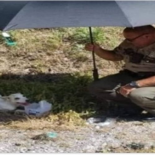 IN THE RIGHT PLACE AT THE RIGHT TIME: A TALE OF COMPASSION