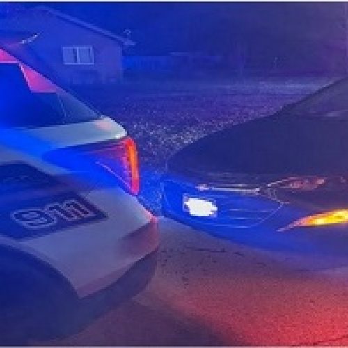 QUICK ACTION BY DEPUTY PREVENTS POTENTIAL TRAGEDY AT LOCAL LAKE