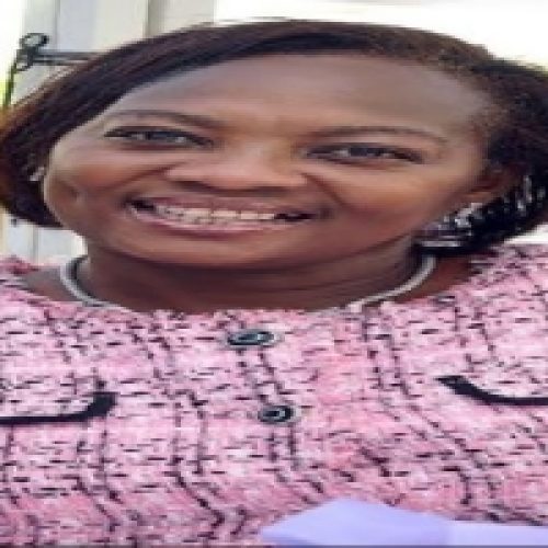 DR. AMEYO STELLA ADADEVOH: A HERO WHO SAVED NIGERIA FROM THE FANGS OF EBOLA