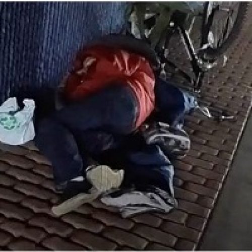 Finding Warmth in Kindness