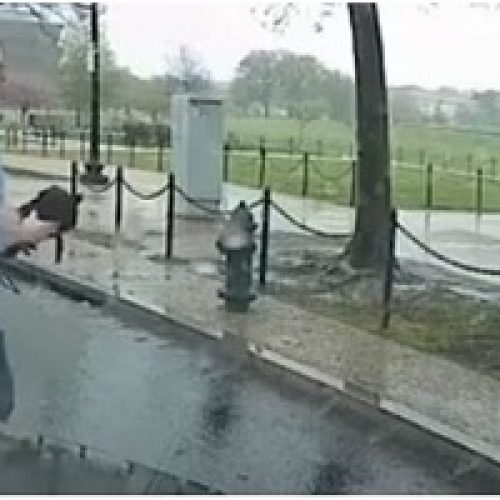 MAN GIVES UMBRELLA TO DRENCHED WOMAN IN WHEELCHAIR AT STOPLIGHT.
