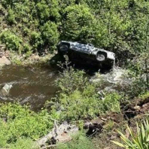 Dog Saves Owner’s Life After Crash in Oregon Mountains