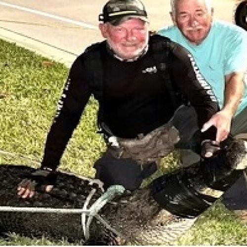 THE UNLIKELY REWARD FOR HEROIC NEIGHBORS
